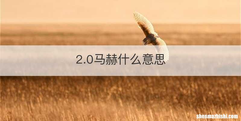 2.0马赫什么意思