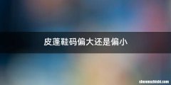 皮蓬鞋码偏大还是偏小
