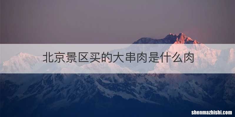 北京景区买的大串肉是什么肉