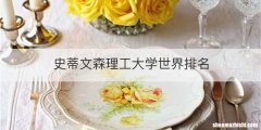 史蒂文森理工大学世界排名