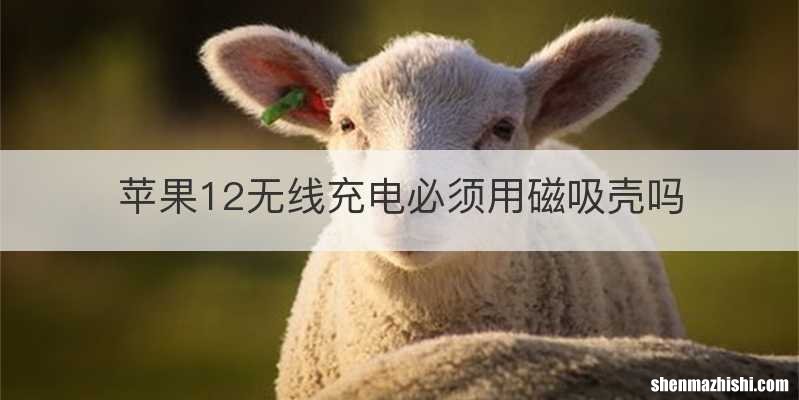 苹果12无线充电必须用磁吸壳吗