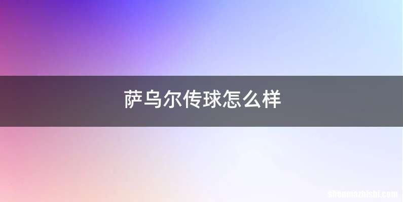 萨乌尔传球怎么样