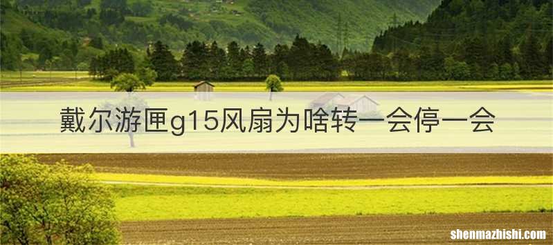 戴尔游匣g15风扇为啥转一会停一会