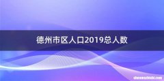 德州市区人口2019总人数