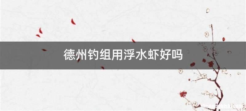 德州钓组用浮水虾好吗