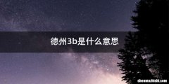 德州3b是什么意思