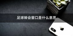 足球转会窗口是什么意思