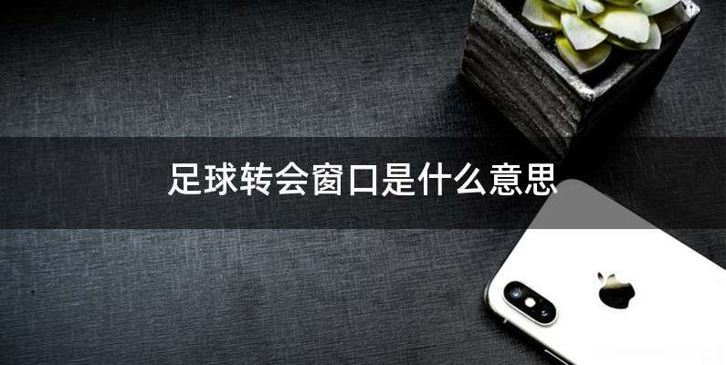 足球转会窗口是什么意思