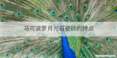 马可波罗月光石瓷砖的特点