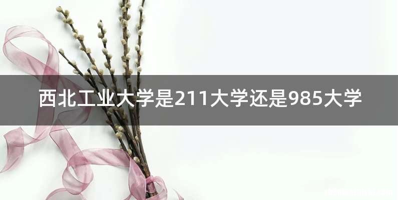 西北工业大学是211大学还是985大学