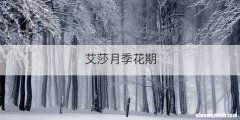 艾莎月季花期