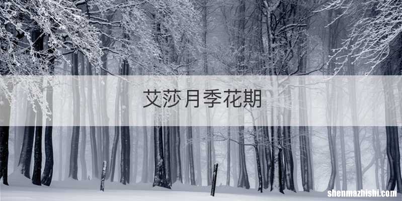 艾莎月季花期