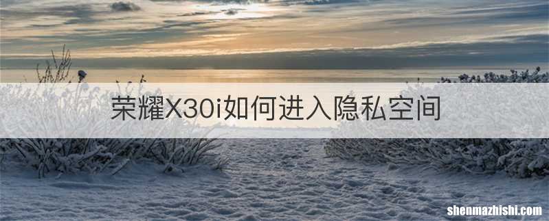 荣耀X30i如何进入隐私空间