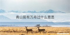 青山前有万舟过什么意思