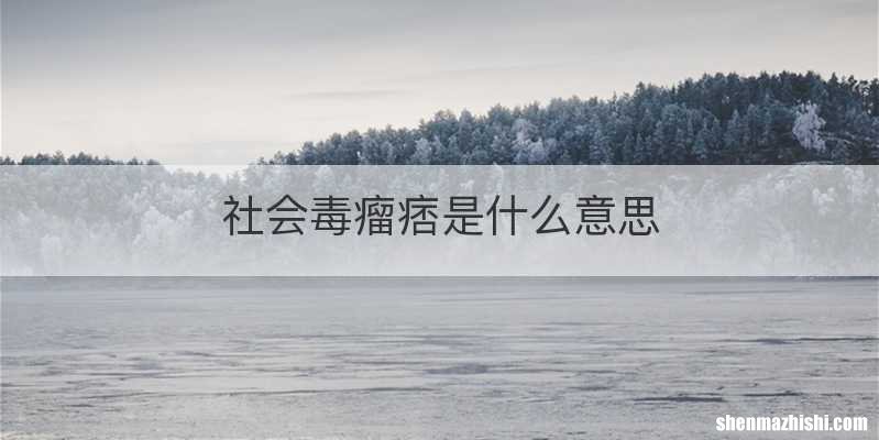 社会毒瘤痞是什么意思