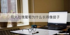 阳光玫瑰葡萄为什么长得像提子