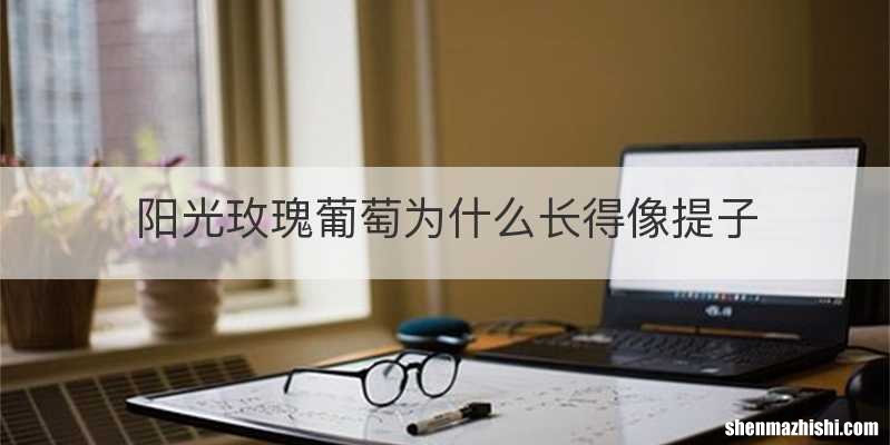 阳光玫瑰葡萄为什么长得像提子