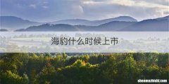 海豹什么时候上市