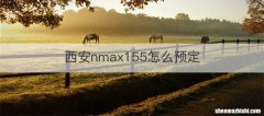 西安nmax155怎么预定