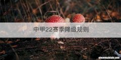 中甲22赛季降级规则