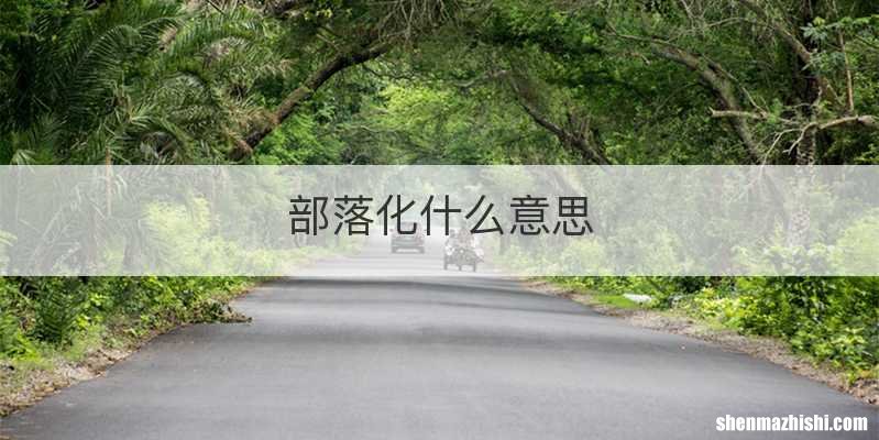 部落化什么意思