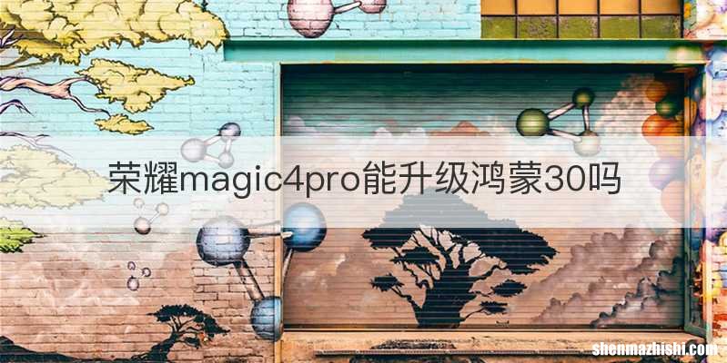 荣耀magic4pro能升级鸿蒙30吗