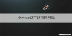 小米ea43可以插网线吗