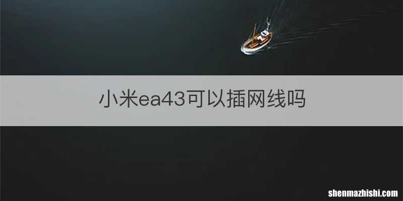 小米ea43可以插网线吗