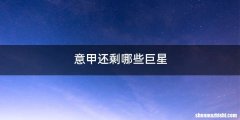 意甲还剩哪些巨星