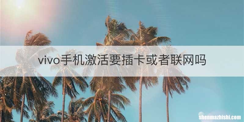 vivo手机激活要插卡或者联网吗