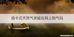 插卡式天然气表能在网上购气吗