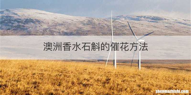 澳洲香水石斛的催花方法