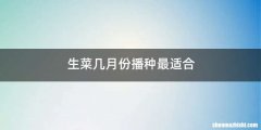生菜几月份播种最适合