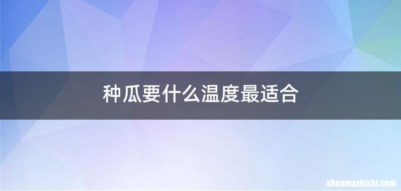 种瓜要什么温度最适合