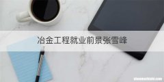 冶金工程就业前景张雪峰