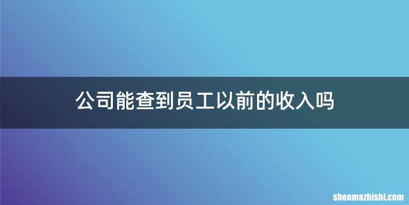 公司能查到员工以前的收入吗