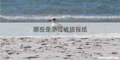 哪些是浙江省级报纸