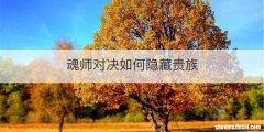 魂师对决如何隐藏贵族