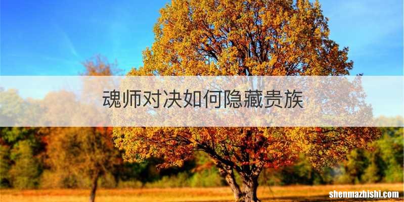 魂师对决如何隐藏贵族