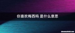 你喜欢梅西吗 是什么意思