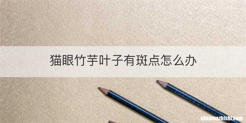 猫眼竹芋叶子有斑点怎么办