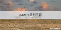 p30pro录制屏幕