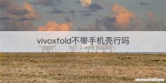 vivoxfold不带手机壳行吗