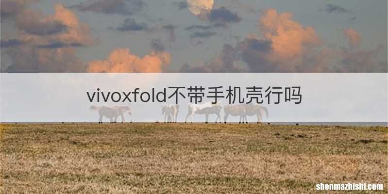 vivoxfold不带手机壳行吗