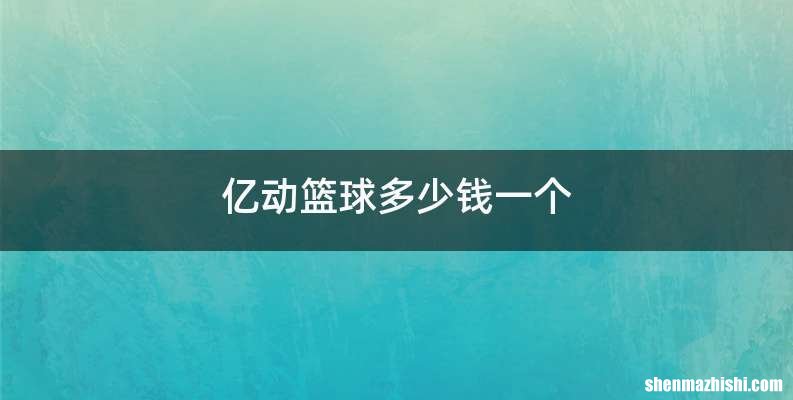 亿动篮球多少钱一个