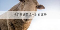 托尼贾好莱坞电影有哪些