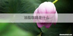 油脂咖啡是什么