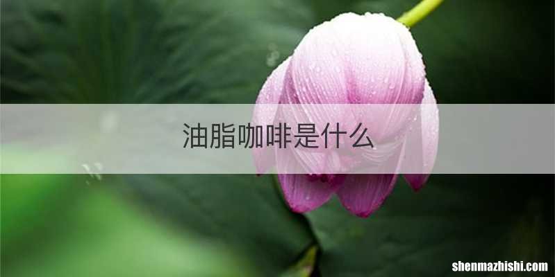 油脂咖啡是什么