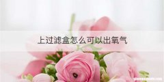 上过滤盒怎么可以出氧气