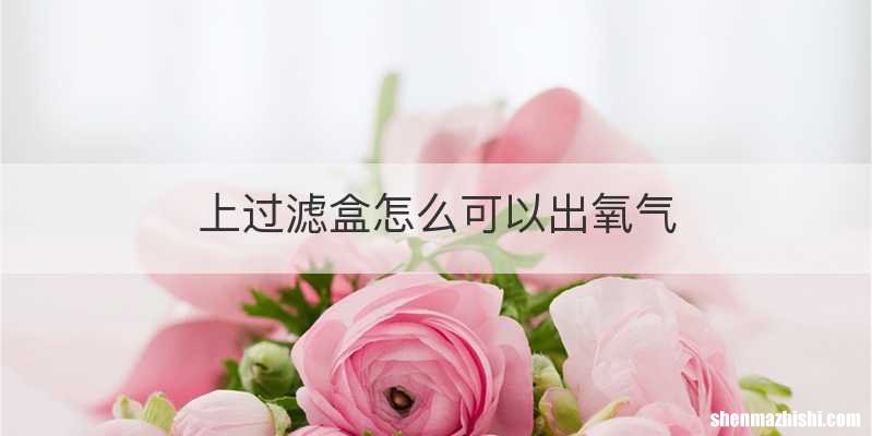 上过滤盒怎么可以出氧气